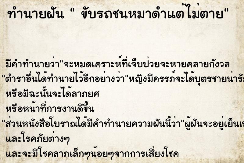 ทำนายฝัน  ขับรถชนหมาดำแต่ไม่ตาย